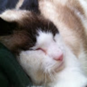 Meet your Posher, Lydia